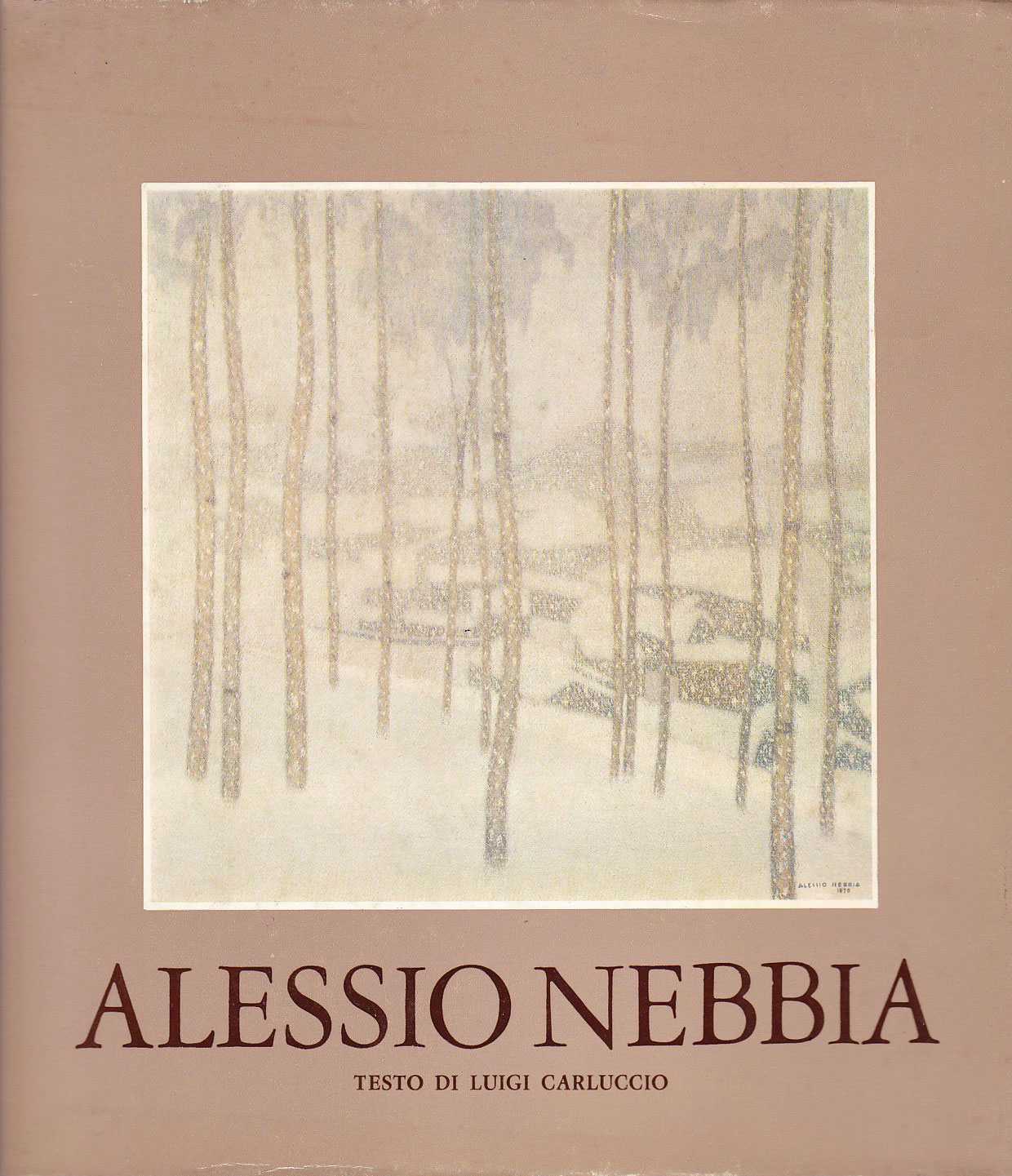 nebbiaweb