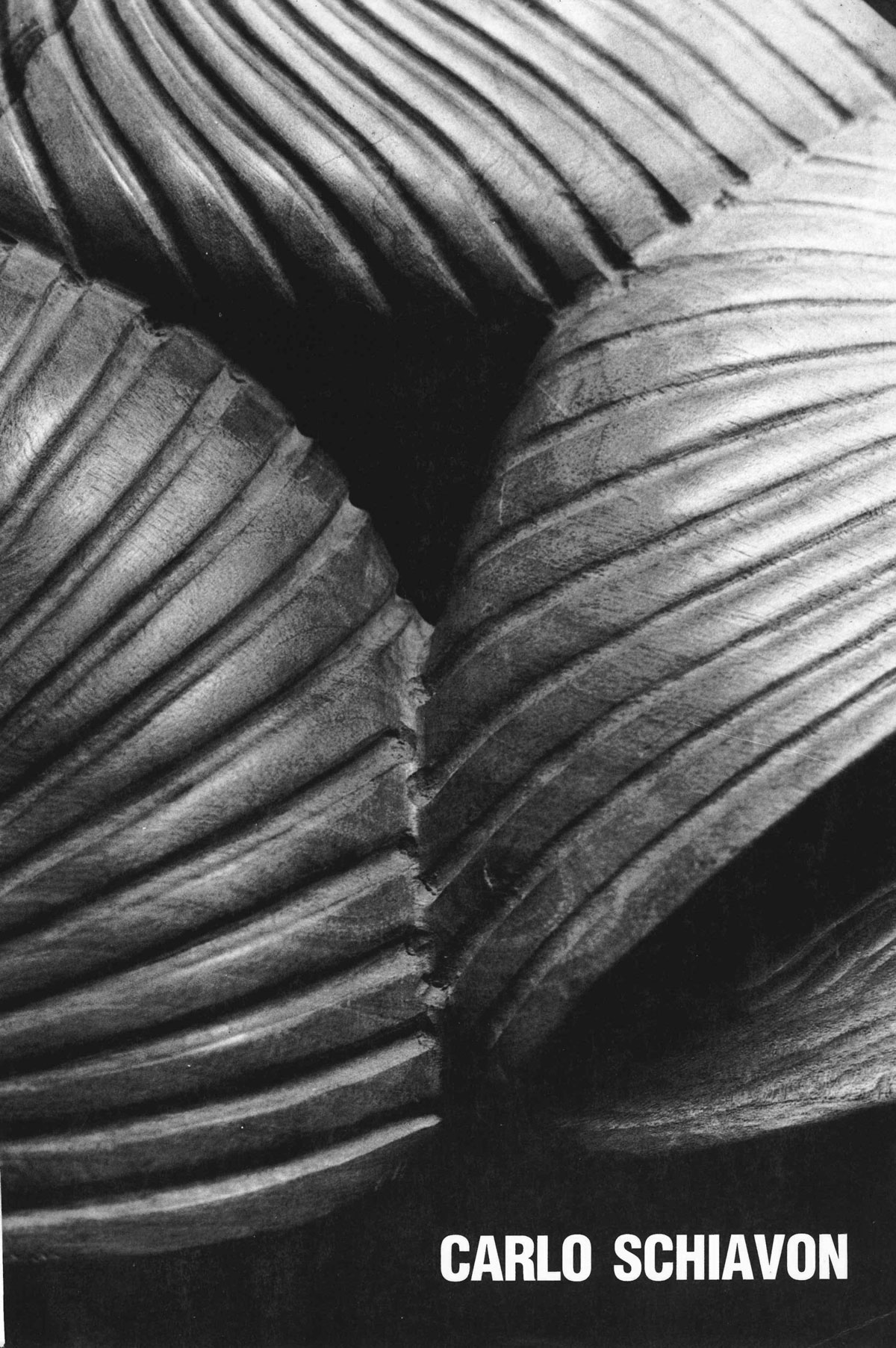 schiavon web